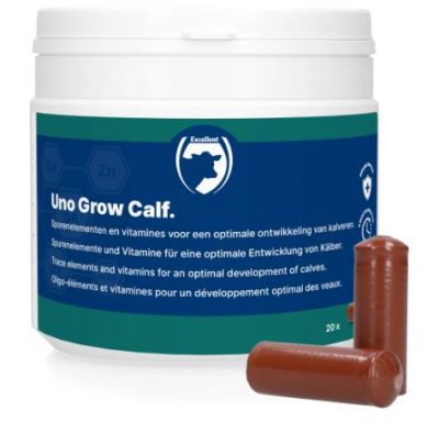 Uno Grow Calf | bolussen | 20 x 40,5 gr